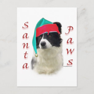 Cartes Pour Fêtes Annuelles Bordure Collie Père Noël Paws