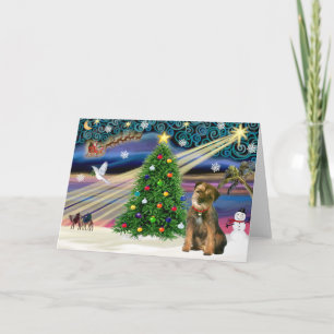 Cartes Pour Fêtes Annuelles Bordure magique de Noël Terrier