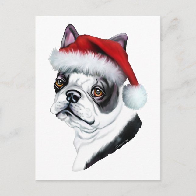 Cartes Pour Fêtes Annuelles Boston Terrier Christmas Père Noël (Devant)