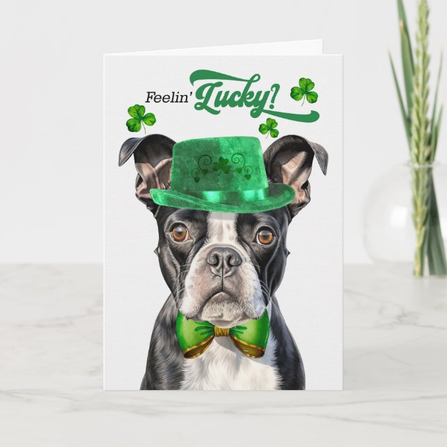 Cartes Pour Fêtes Annuelles Boston Terrier Dog Feelin' Lucky St Patrick's Day (Devant)