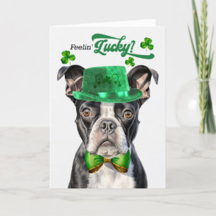 Cartes Pour Fêtes Annuelles Boston Terrier Dog Feelin' Lucky St Patrick's Day