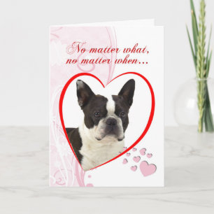 Cartes Pour Fêtes Annuelles Boston Terrier Valentine