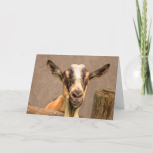 Cartes Pour Fêtes Annuelles Bouc séduisant pour la fête des pères