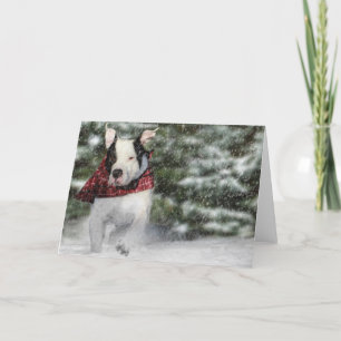 Cartes Pour Fêtes Annuelles Boule de sauvetage Dashing through