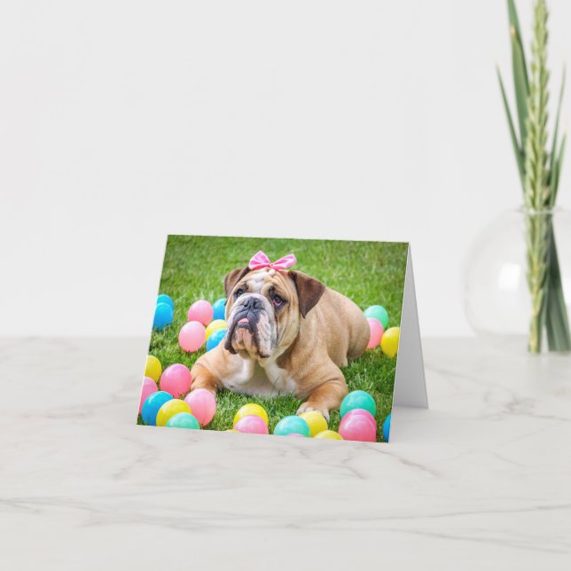 Cartes Pour Fêtes Annuelles Bouledogue anglais avec l'arc avec des oeufs de (Devant)