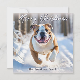Cartes Pour Fêtes Annuelles Bouledogue Anglais en neige Noël