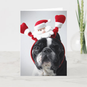 Cartes Pour Fêtes Annuelles Bouledogue d'offrench de portrait de Joyeux Noël