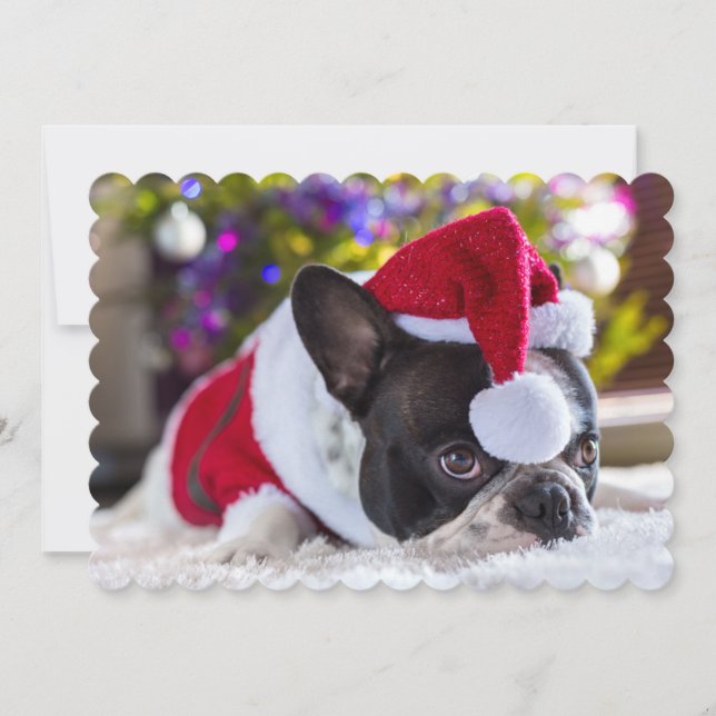Cartes Pour Fêtes Annuelles Bouledogue français dans le casquette de Père Noël (Devant)