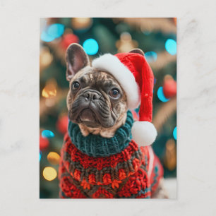 Cartes Pour Fêtes Annuelles Bouledogue français en tenue tricotée pour chien