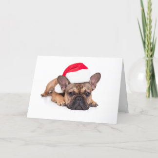 Cartes Pour Fêtes Annuelles Bouledogue Français - Noël