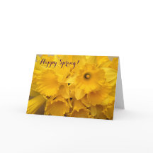 Bouquet de jonquilles Pâques