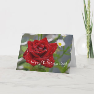 Cartes Pour Fêtes Annuelles Bourgeon de rose rouge