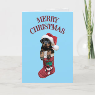 Cartes Pour Fêtes Annuelles Boutique de Noël Rottweiler
