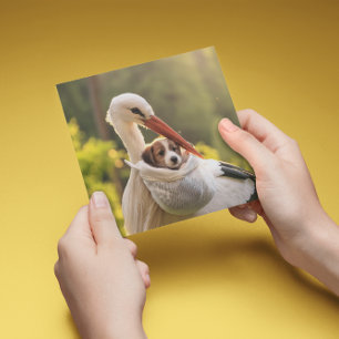 Cartes Pour Fêtes Annuelles Boutique et chiot, personnalisable