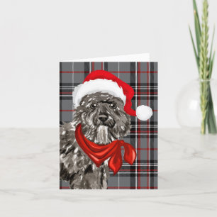 Cartes Pour Fêtes Annuelles Bouvier Christmas Chien et gris Rouge Plaid Noël