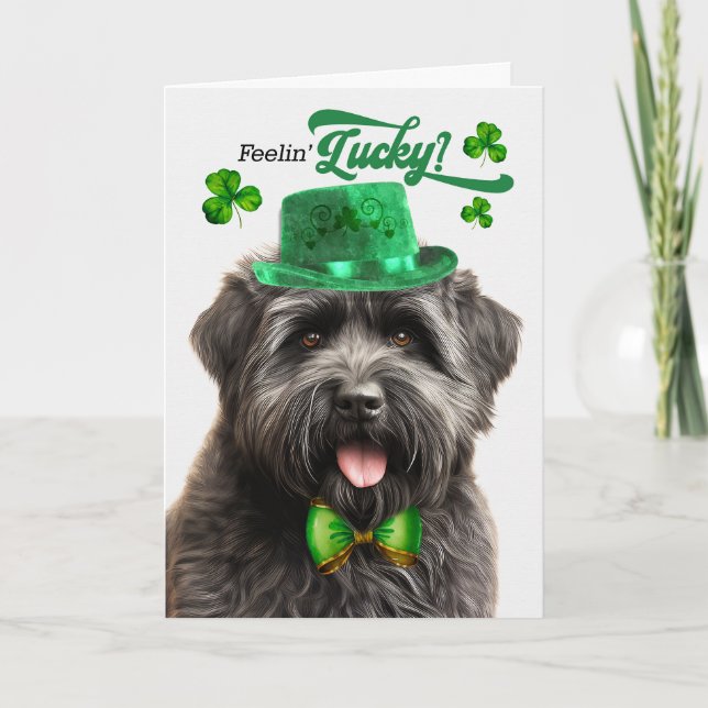 Cartes Pour Fêtes Annuelles Bouvier des Flandres Chien Lucky St Patrick's Day (Devant)