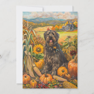 Cartes Pour Fêtes Annuelles Bouviers des Flandre Récolte d'automne Thankesgivi