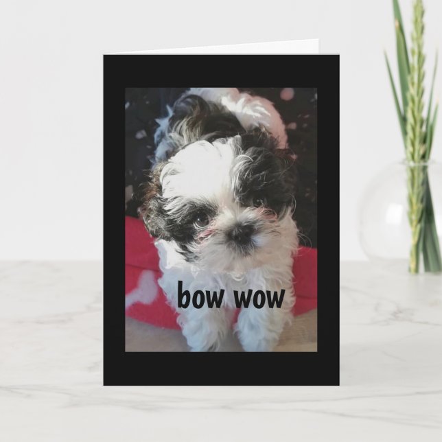 CARTES POUR FÊTES ANNUELLES BOW WOW DIT POP/"HEUREUX PÂQUES POUR VOUS ! VOITUR (Devant)