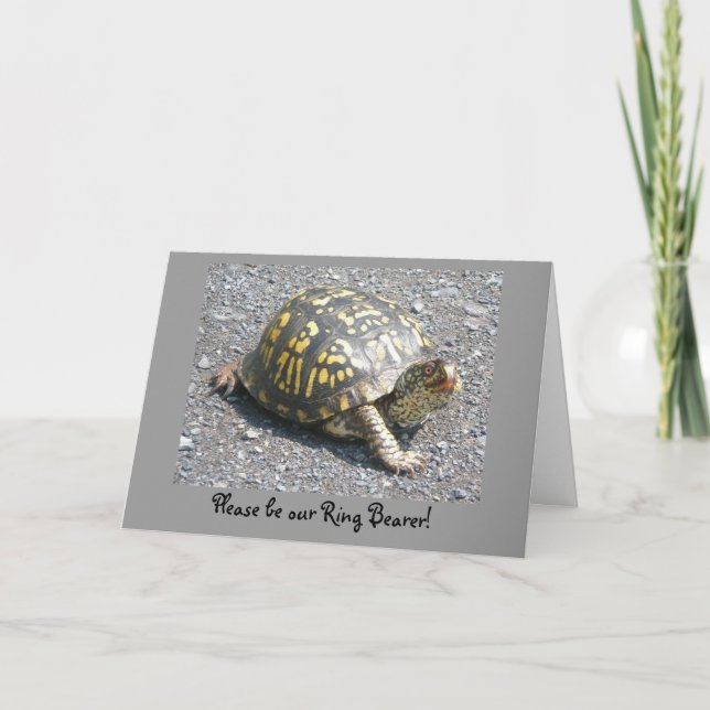 Cartes Pour Fêtes Annuelles Box Turtle (Devant)