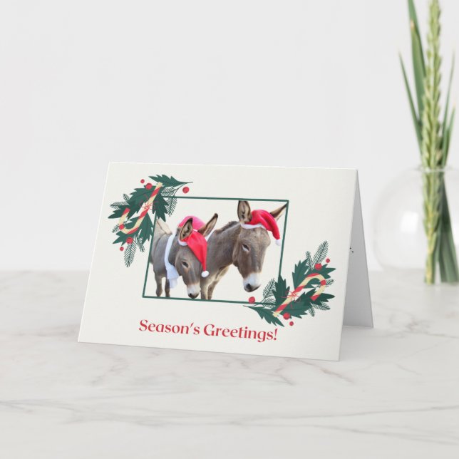 Cartes Pour Fêtes Annuelles Boxer & Benjamin vous souhaitent de bonnes fêtes ! (Devant)