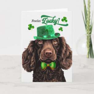 Cartes Pour Fêtes Annuelles Boykin Spaniel Chien Chanceux St Patrick's Day
