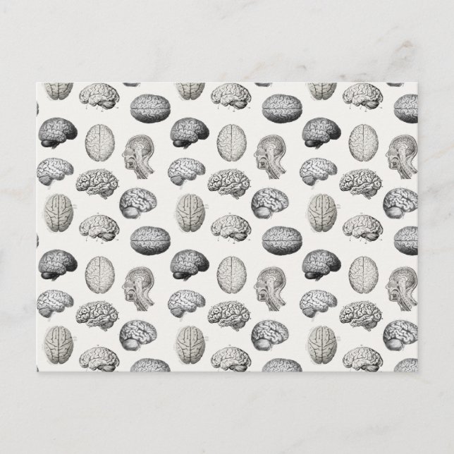 Cartes Pour Fêtes Annuelles Brain Anatomy Biology Illustrations (Devant)