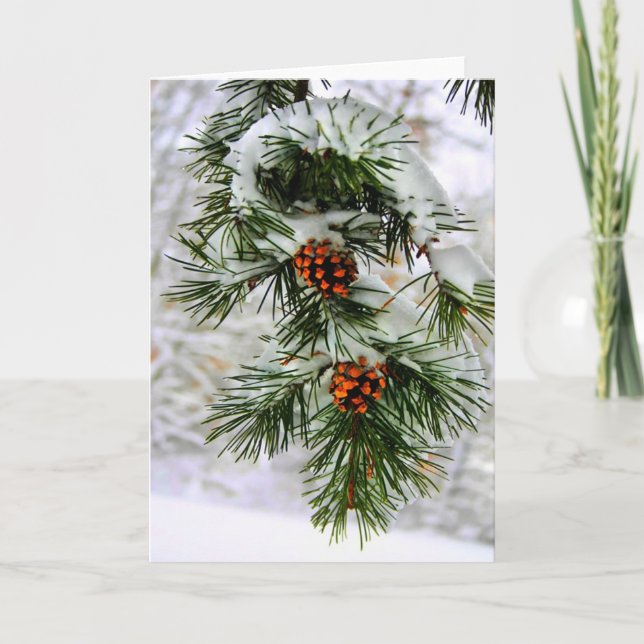 Cartes Pour Fêtes Annuelles Branche PineCone HD (Devant)