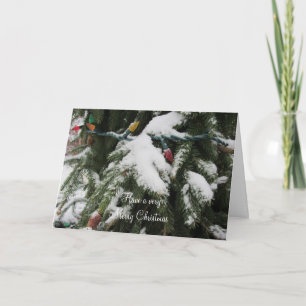 Cartes Pour Fêtes Annuelles Branches enneigées et lumières