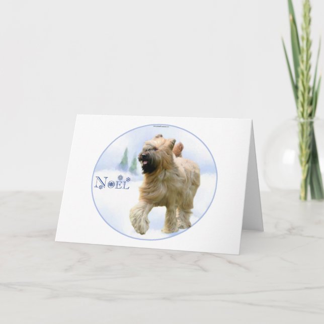 Cartes Pour Fêtes Annuelles Briard Noel (Devant)