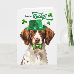 Cartes Pour Fêtes Annuelles Brittany Spaniel Dog Lucky St Patrick's Day
