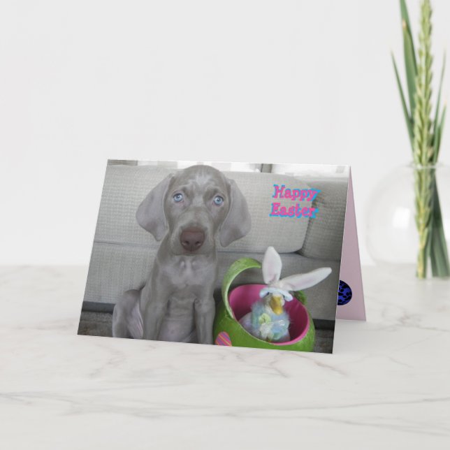 Cartes Pour Fêtes Annuelles Brooklyn's Easter - Weimaraner Dog / Puppy Card (Devant)