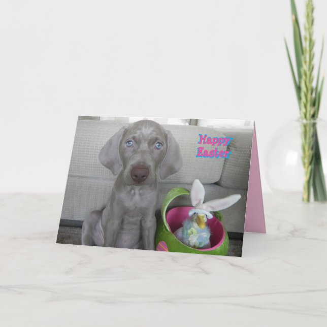 Cartes Pour Fêtes Annuelles Brooklyn's Easter - Weimaraner Dog / Puppy Card (Devant)
