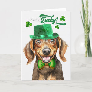 Cartes Pour Fêtes Annuelles Brown Dachshund Dog Feelin' Lucky St Patrick's Day