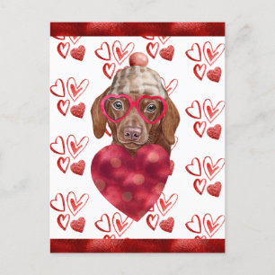 Cartes Pour Fêtes Annuelles Brown Dachshund Hearts Amoureux des chiens Valenti