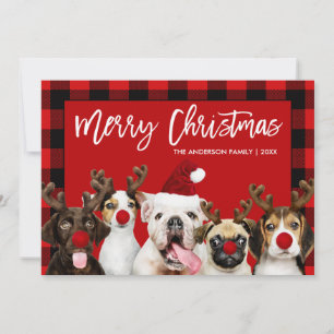 Cartes Pour Fêtes Annuelles Brush Script Joyeux Chiens de Noël Rouge Plaid