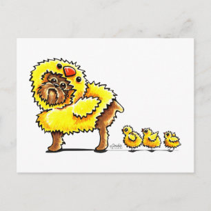 Cartes Pour Fêtes Annuelles Bruxelles Griffon Chick Pâques