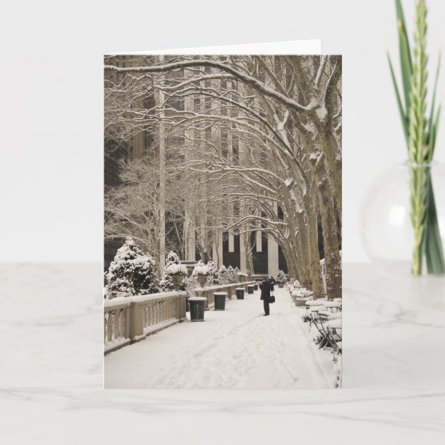 Cartes Pour Fêtes Annuelles Bryant Park hiver (Devant)
