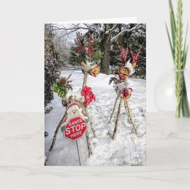 Cartes Pour Fêtes Annuelles Bûche blanche Reindeer (Devant)