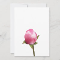 Bud en fleur d'Apple