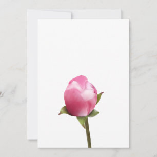 Cartes Pour Fêtes Annuelles Bud en fleur d'Apple