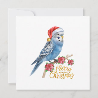 Cartes Pour Fêtes Annuelles Budgie Christmas Card