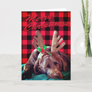 Cartes Pour Fêtes Annuelles Buffalo Plaid Antler Portant Labrador Photo Custom