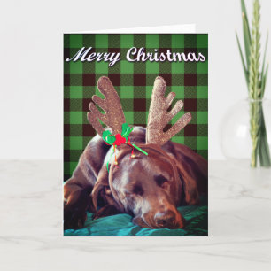 Cartes Pour Fêtes Annuelles Buffalo Plaid Labrador Portant des colliers Photog