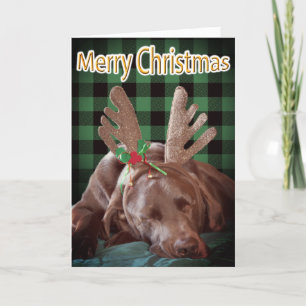 Cartes Pour Fêtes Annuelles Buffalo Plaid Labrador Portant des colliers Photog