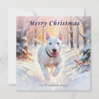 Bull Terrier dans la neige d'hiver Joyeux Noël