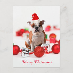Cartes Pour Fêtes Annuelles Bulldog boîte cadeau de Noël Ornements Red Santa C