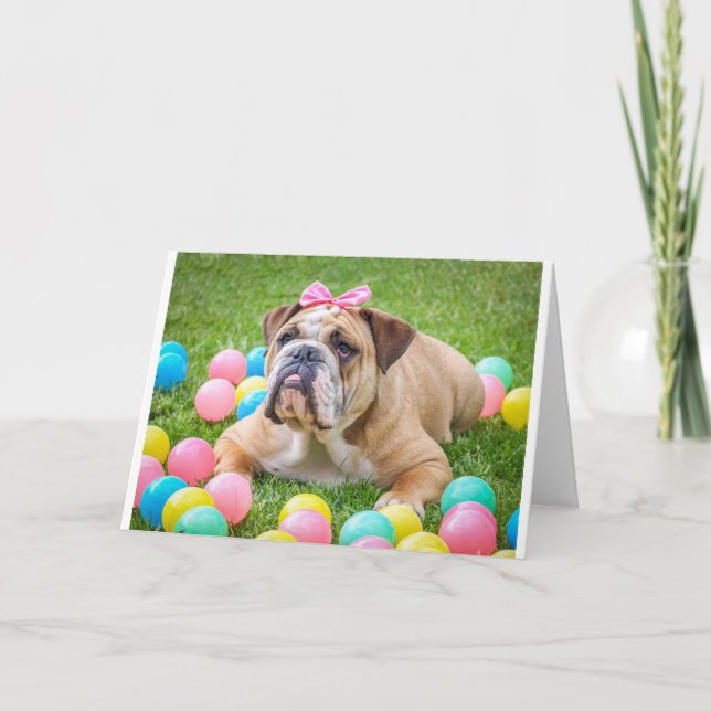 Cartes Pour Fêtes Annuelles Bulldog mignon animal de Pâques chien Hundeportrai (Devant)