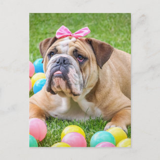 Cartes Pour Fêtes Annuelles Bulldog mignon animal de Pâques chien Hundeportrai