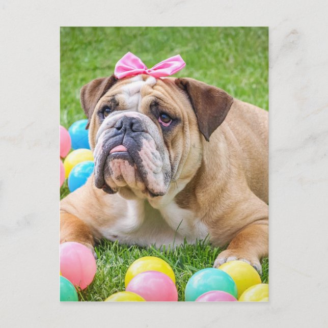 Cartes Pour Fêtes Annuelles Bulldog mignon animal de Pâques chien Hundeportrai (Devant)