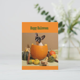 Cartes Pour Fêtes Annuelles Bulldogge français Halloween Kart des Fêtes